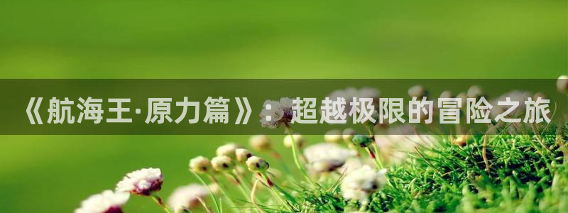 免费漫画之家：《航海王·原力篇》：超越极限的冒险之旅