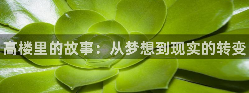 漫画之家网站：高楼里的故事：从梦想到现实的转变