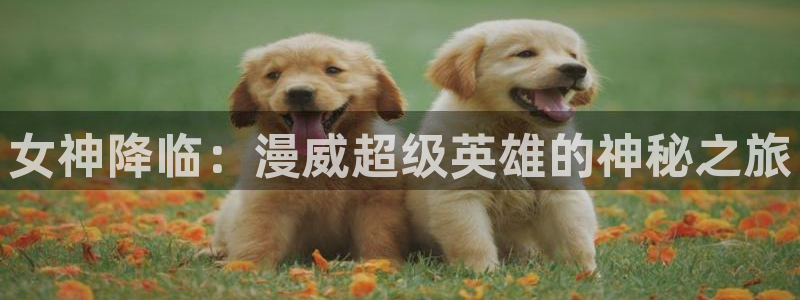 漫画之家漫画网：女神降临：漫威超级英雄的神秘之旅