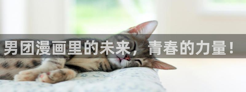 漫画之家网：男团漫画里的未来，青春的力量！